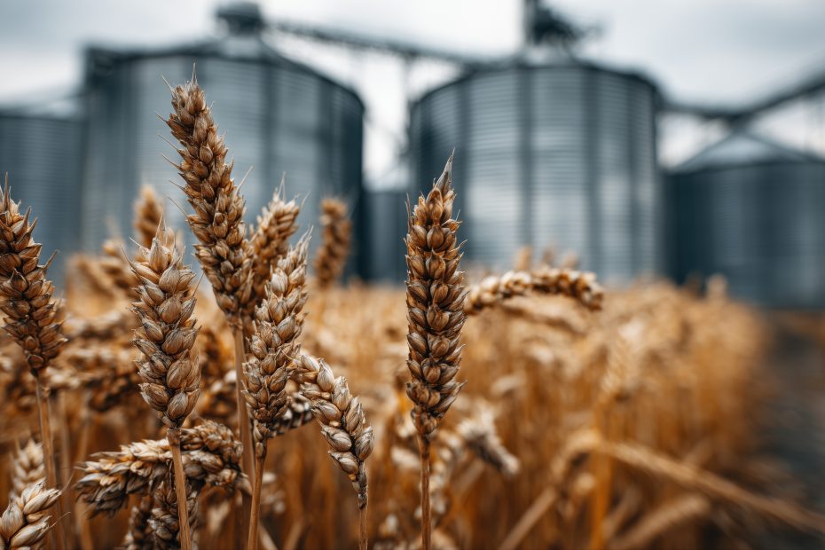 A 1250kW Katolight industrial diesel generator in a sound-attenuated enclosure for backup power at a food processing site in Birdsboro, Pennsylvania.